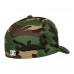 Бейсболка DC Shoes Flexfit® Cap Star